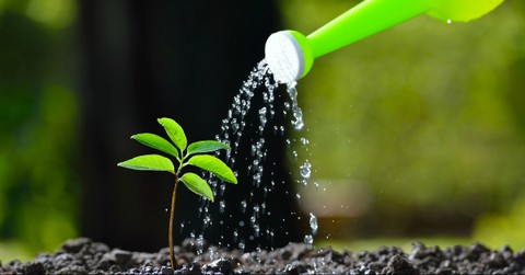 3 Little Things That Make a Big Impact for the Kingdom
