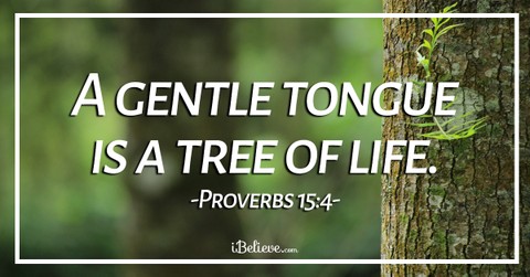 Do Your Words Hurt or Heal? - iBelieve Truth: A Devotional for Women - February 3