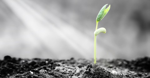 A Necessary but Challenging Lesson - In Touch - December 19