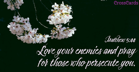 Matthew 5:44