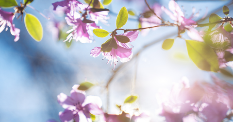 Does God Really Work All Things “Together for Good”?