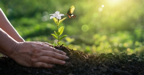 How Are We a "New Creation" in Christ?