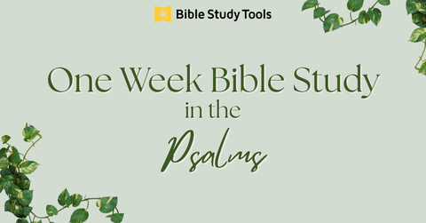 One Week Bible Study in Psalms