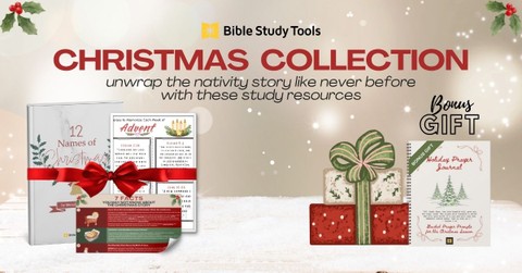 Christmas Study Collection: 12 Names of Jesus Bible Plan, Weekly Advent Verses, Christmas Fact Sheet + Bonus Prayer Journal
