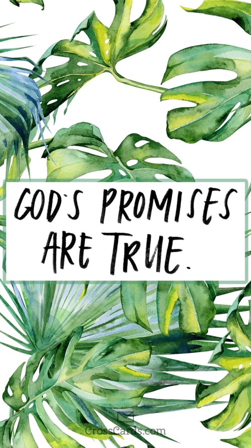 God's Promises are True