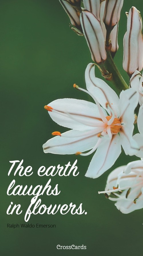 The Earth Laughs in Flowers