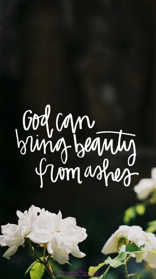 Beauty from Ashes