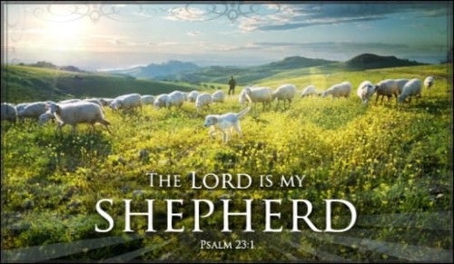 Shepherd