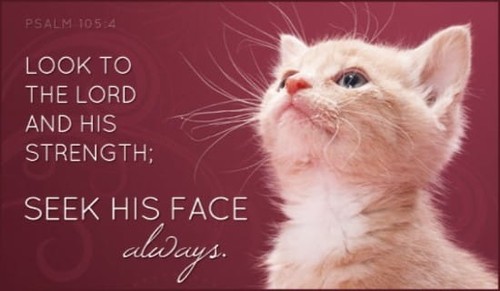 Seek His Face Always