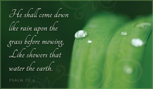 Psalm 72:6