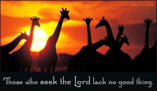 Seek the Lord