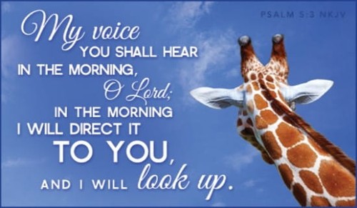 Psalm 5:3 NKJV