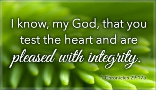 1 Chronicles 29:17a