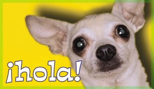 Hola