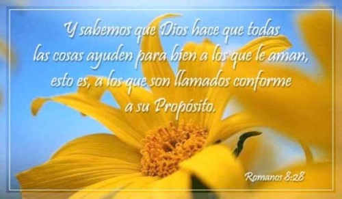 Romanos 8:28
