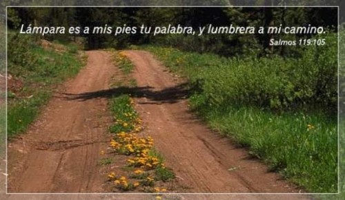 Psalms 119:105