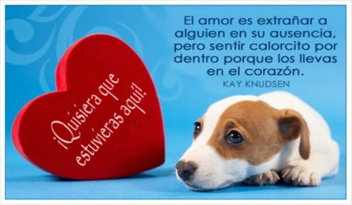 ¡Quisiera que estuvieras aquí!