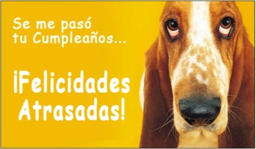 Se me pasó tu Cumpleaños