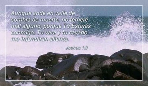 Psalms 23:4