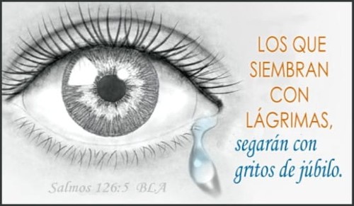 Salmos 126:5  BLA