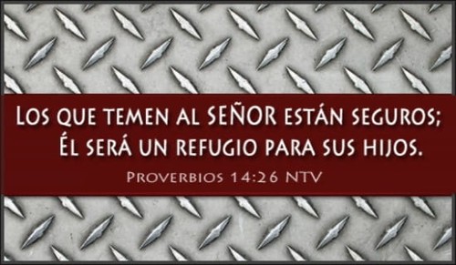 Proverbios 14:26 NTV