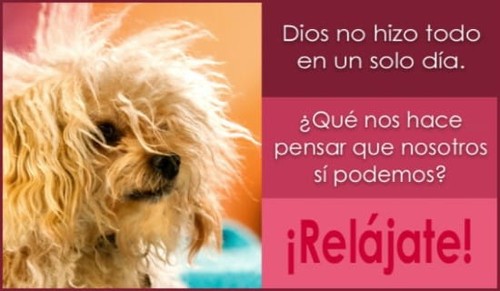 ¡Relájate!