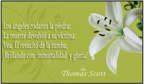 ¡Brillando con inmortalidad y gloria! 