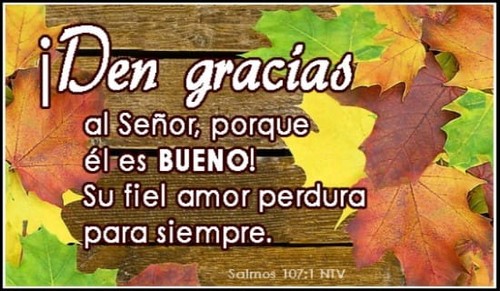 ¡Den gracias al SEÑOR, porque él es BUENO!