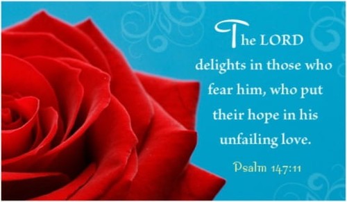 Psalm 147:11