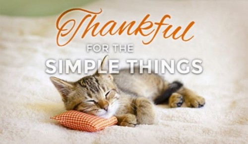 Simple Things