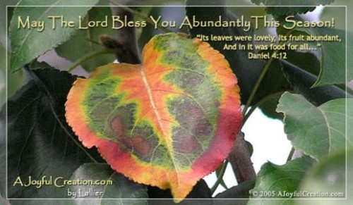 Abundant