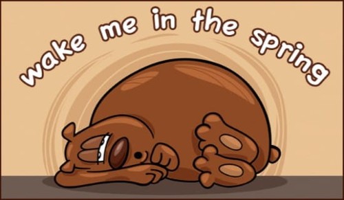 Sleepy Bear