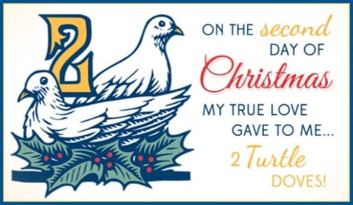 2 Turtle Doves