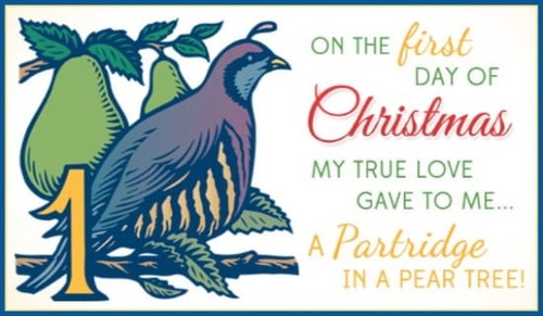 Partridge in a Pear Tree