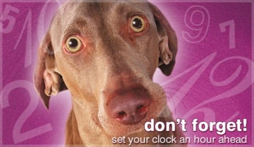 Don't Forget - Clocks Ahead