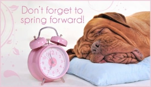Spring Forward