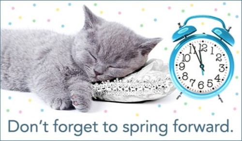 Spring Forward