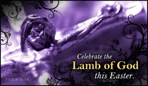 Lamb of God