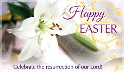 Easter Lily