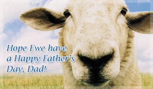 Hope Ewe Have...