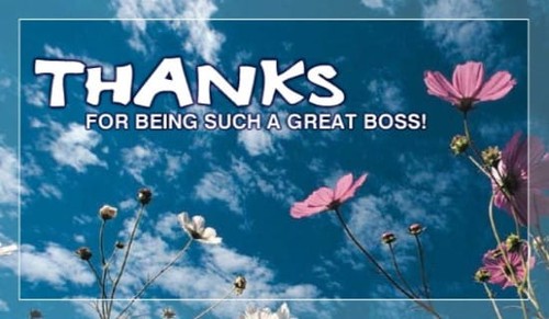 Thanks Great Boss