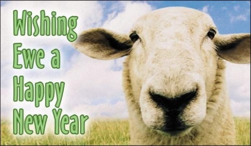 Happy New Year to Ewe