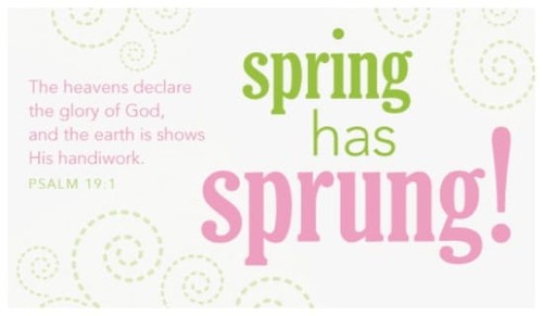 Spring has Sprung