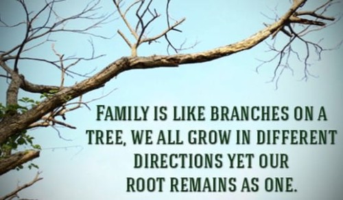 I'm so thankful for my family!