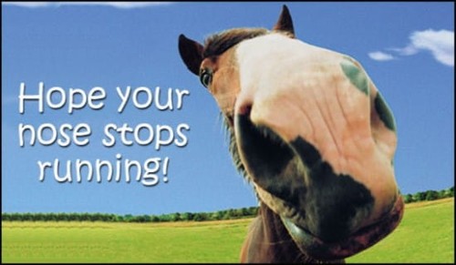 Hope Your Nose Stops Running!