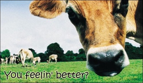 You Feelin' Better? 