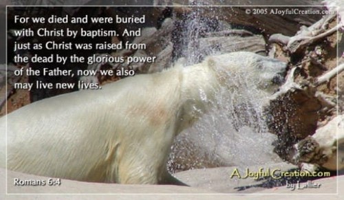 Baptism - Romans 6:4