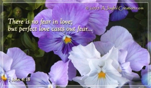 Perfect Love