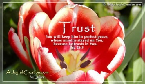 Trust