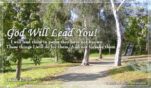 God Will Lead You